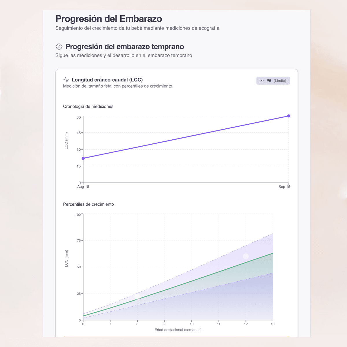 Información práctica